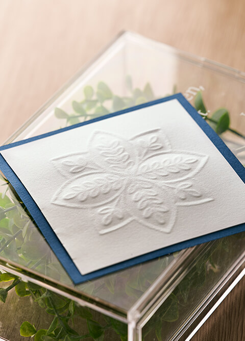 کاتر پلاتر کامئو 5