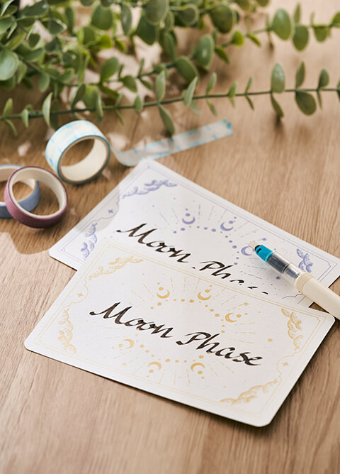 کاتر پلاتر کامئو 5